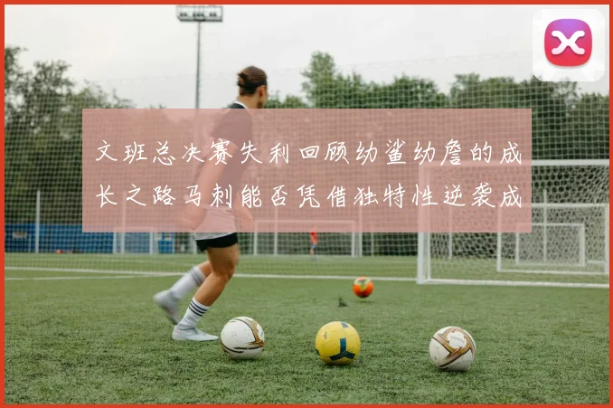文班总决赛失利回顾幼鲨幼詹的成长之路马刺能否凭借独特性逆袭成功