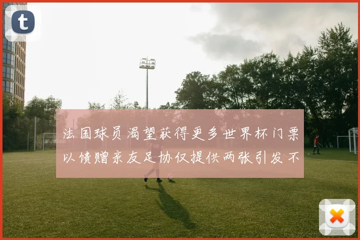 法国球员渴望获得更多世界杯门票以馈赠亲友足协仅提供两张引发不满